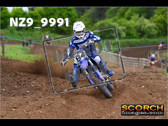 Experts-046