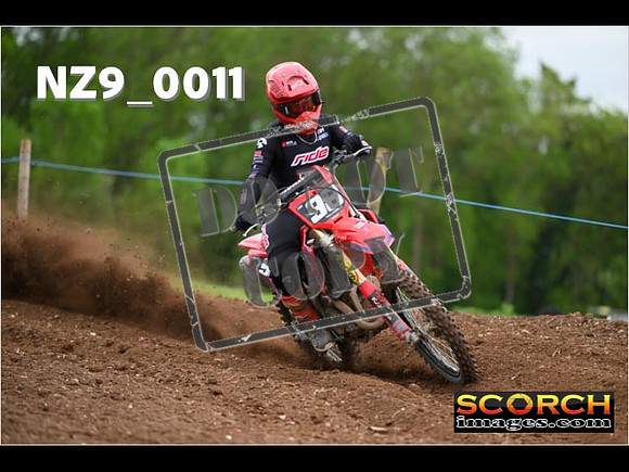 Experts-065