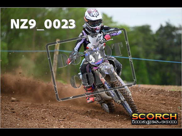 Experts-077