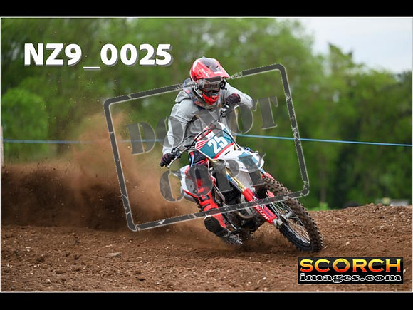 Experts-079
