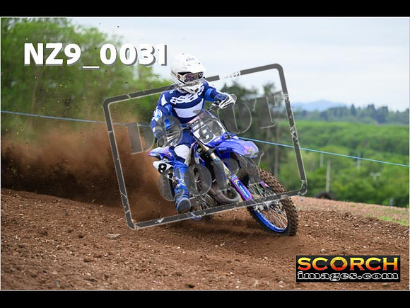 Experts-085