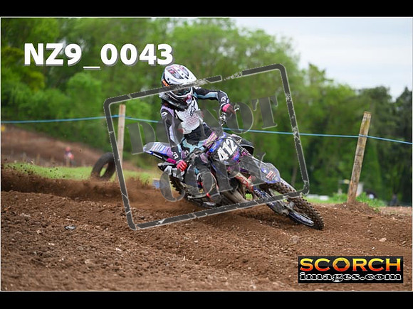 Experts-096