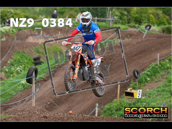 Experts-115