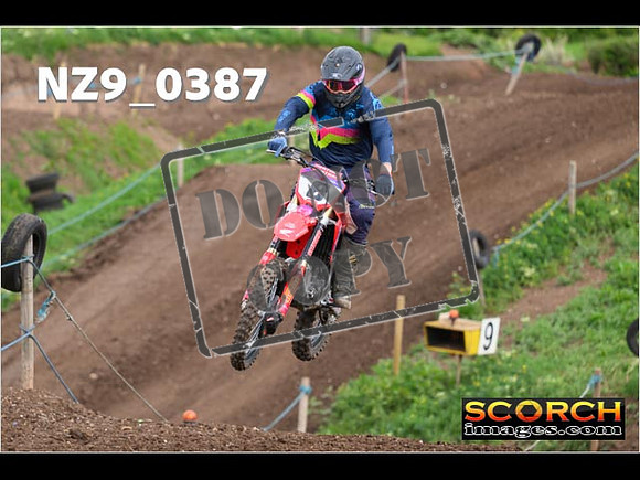 Experts-118