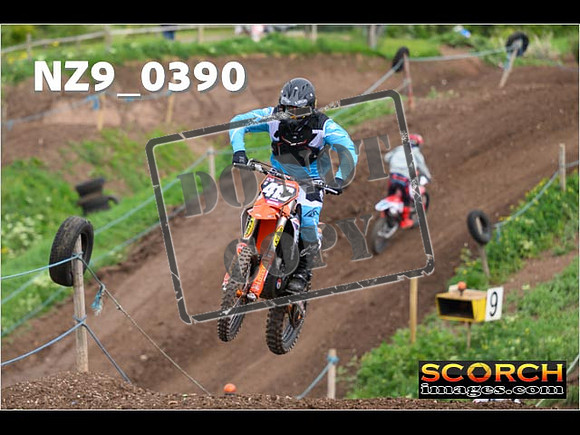 Experts-121