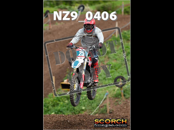 Experts-137