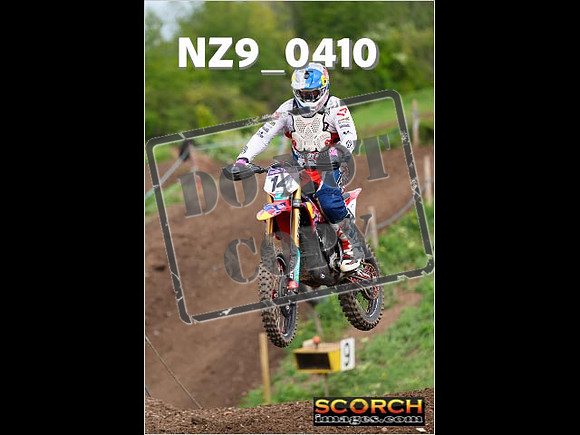 Experts-141