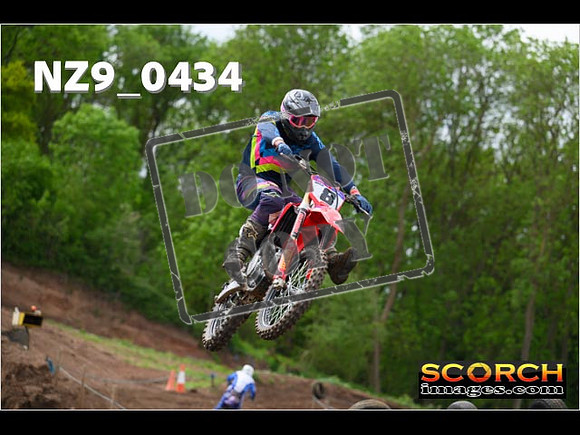 Experts-163