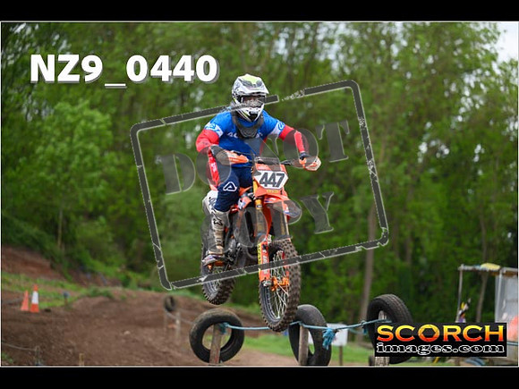 Experts-169