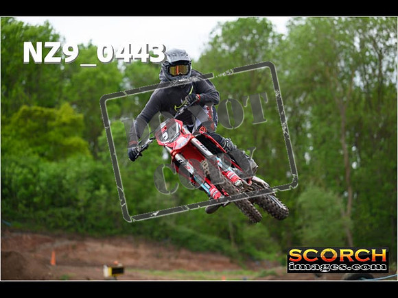 Experts-172