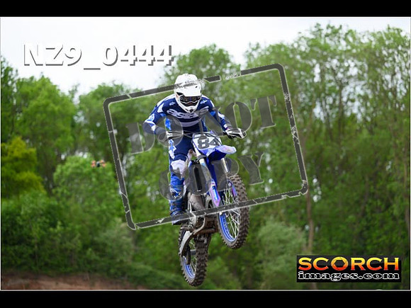 Experts-173