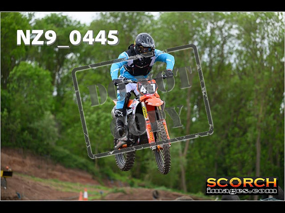 Experts-174