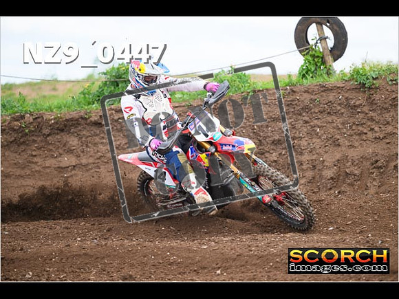 Experts-176