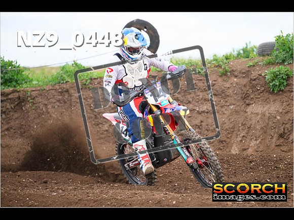Experts-177