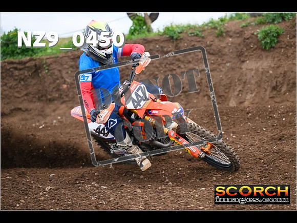 Experts-179