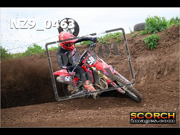 Experts-191