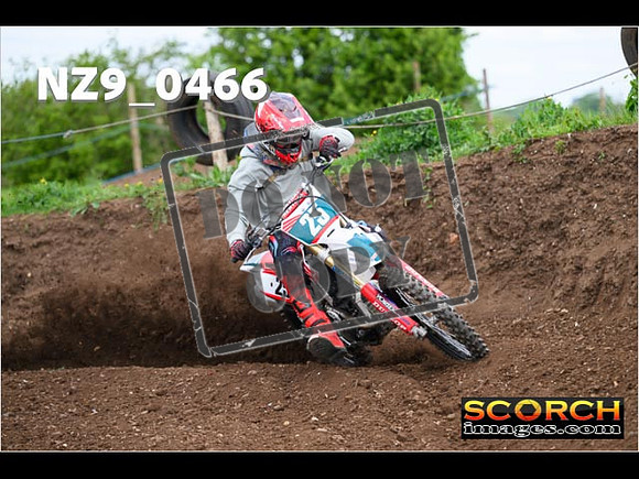 Experts-194