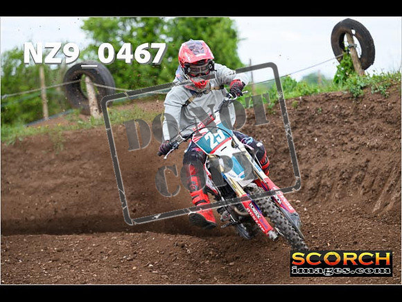 Experts-195