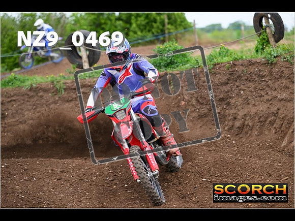 Experts-197
