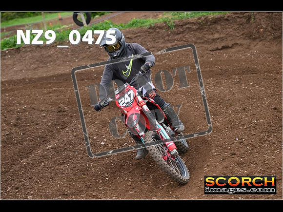 Experts-203