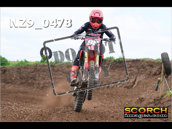 Experts-206