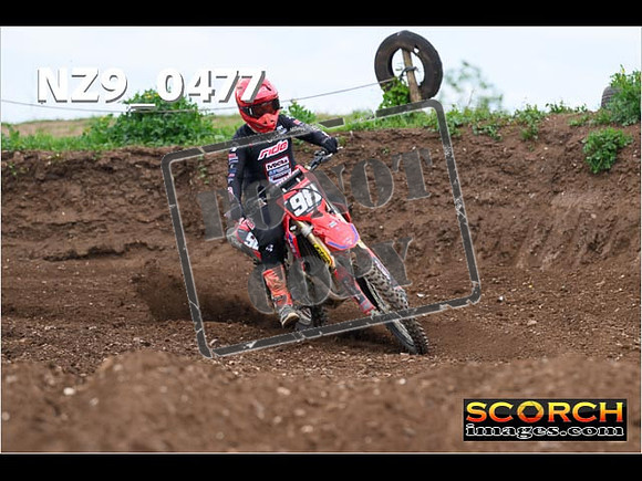 Experts-205