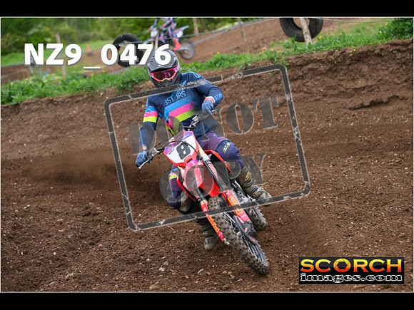 Experts-204
