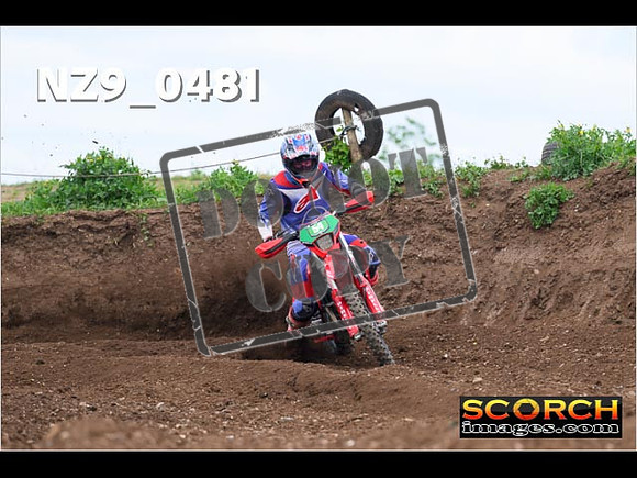 Experts-209