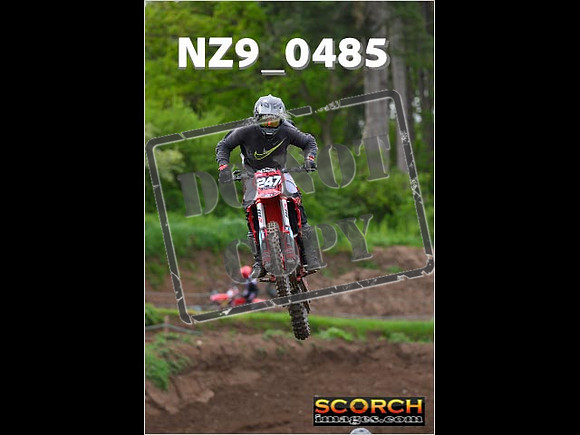 Experts-213