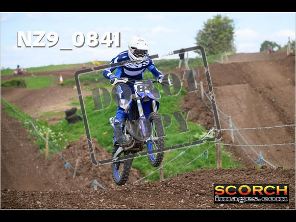 Experts-221