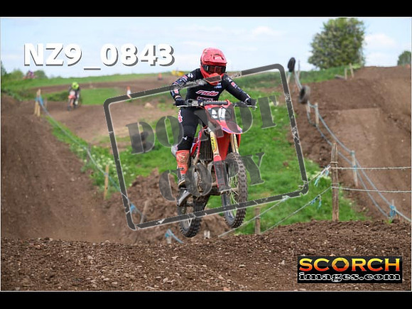 Experts-223