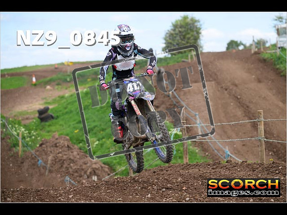 Experts-225