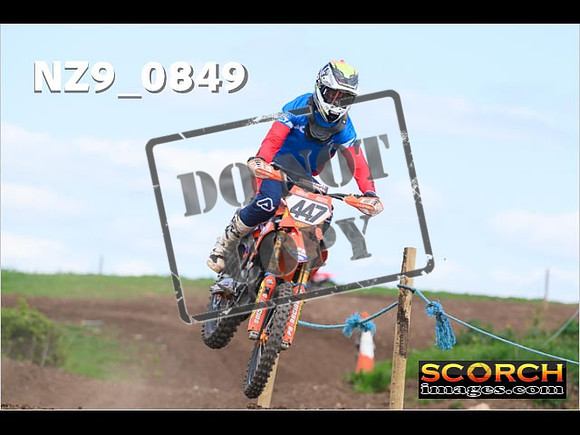 Experts-229
