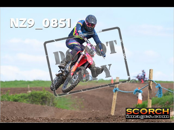 Experts-231