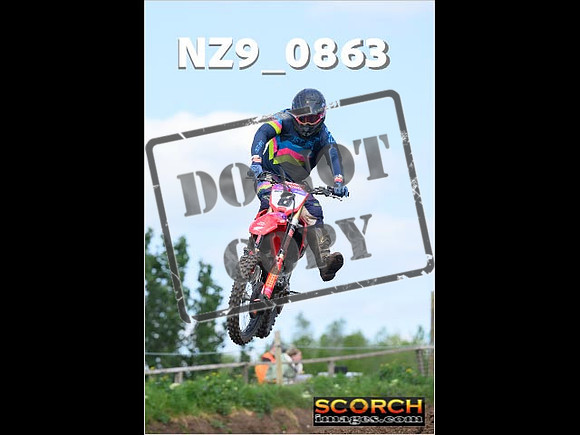 Experts-240