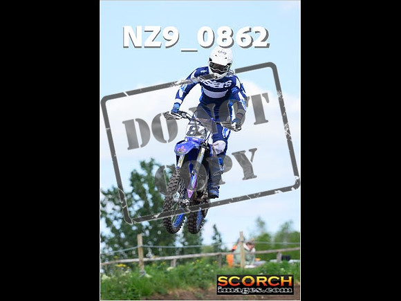 Experts-239