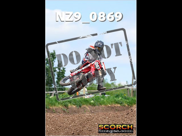 Experts-245