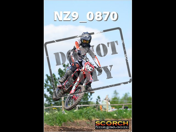 Experts-246