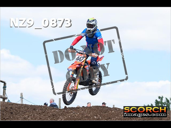 Experts-249