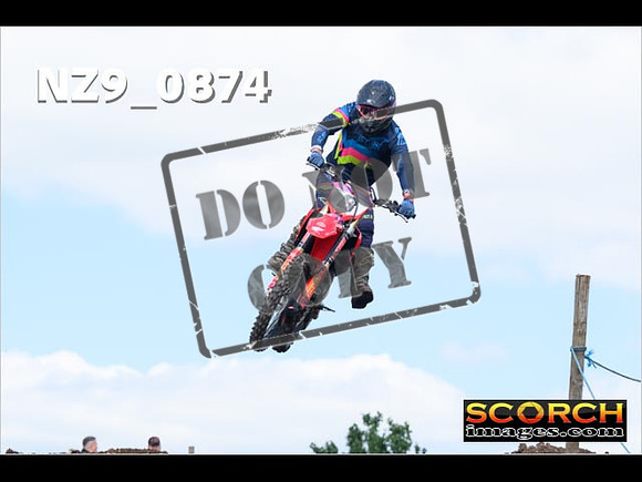 Experts-250