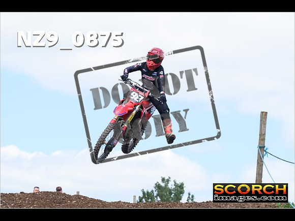 Experts-251