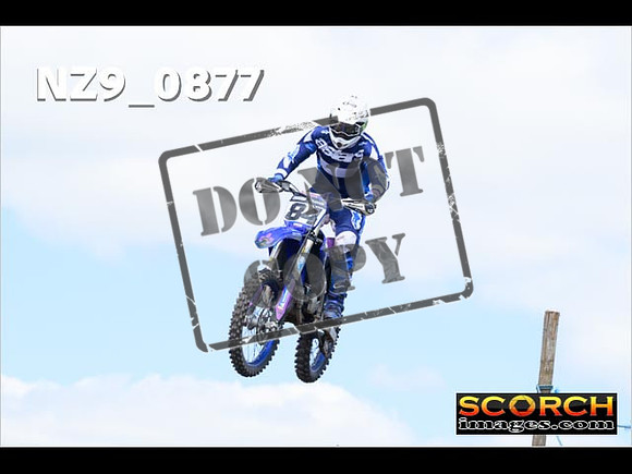 Experts-253