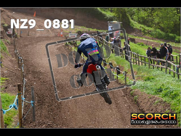 Experts-257