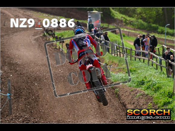 Experts-262