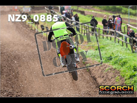 Experts-261