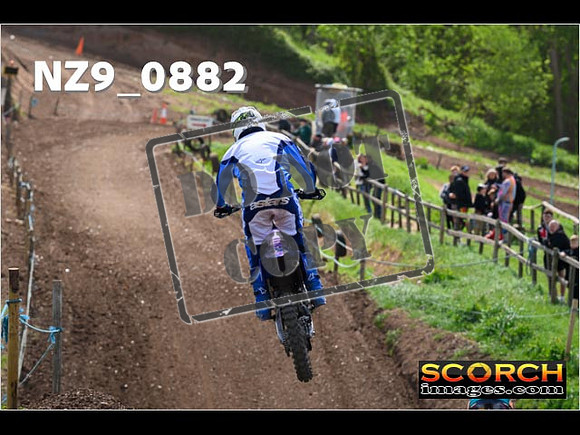 Experts-258