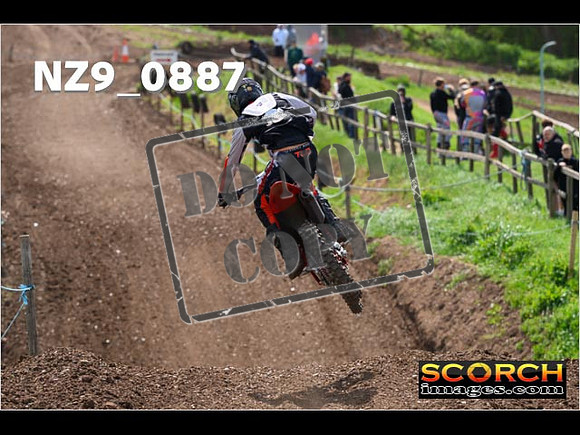 Experts-263