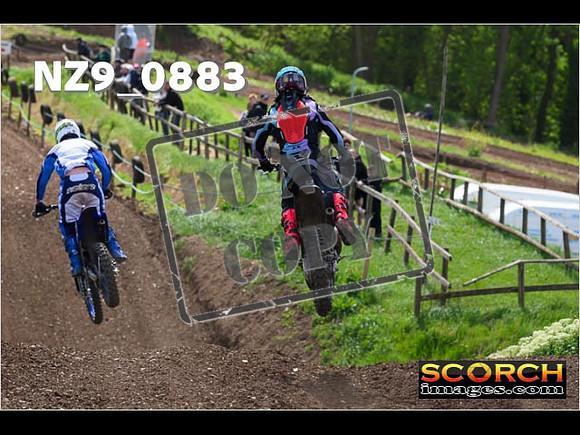 Experts-259