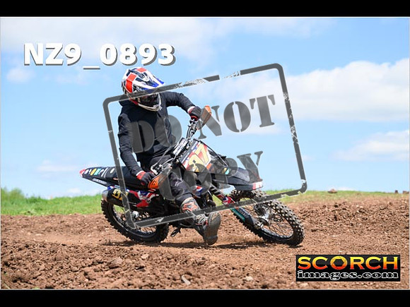 Experts-269
