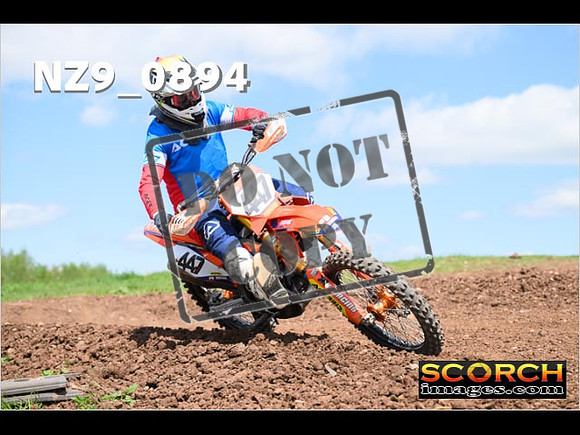 Experts-270